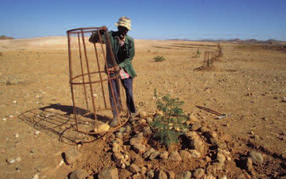 Enabling the rural poor to overcome poverty in Eritrea Rural poverty in Eritrea Since it won independence from Ethiopia in 1993 after a 30-year war of liberation, Eritrea has had to cope with the