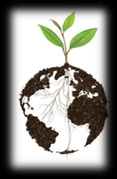 of the Global Soil Partnership