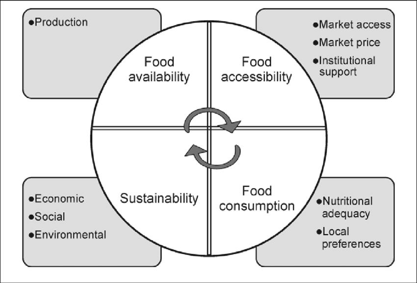 The concept of food security and soil fertility Food security is defined (1996 World Food Summit) as access by all people at all times to the food needed for a healthy and active life.