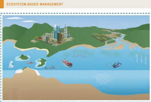 Ecosystem-based Management EBM can