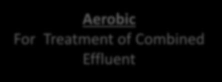 Treatment of Combined Effluent Anaerobic For