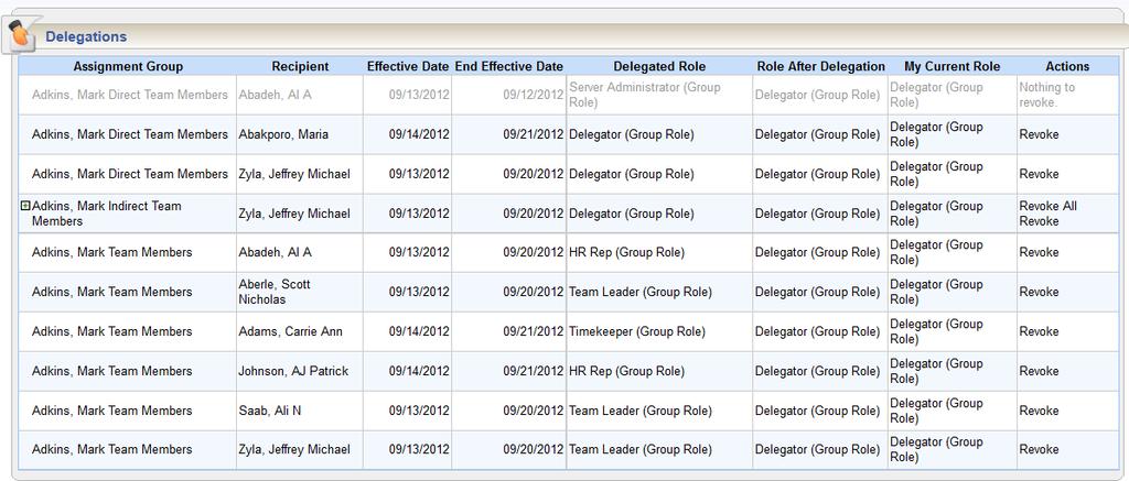 A window appears that lists the roles currently delegated within your assignment groups,