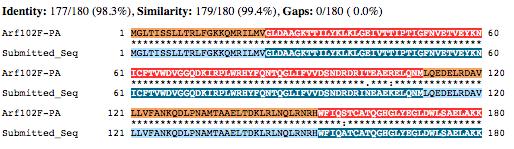 Figure 46 Contig52.6 BLASTp Search. Genscan predicted amino acid sequence for Contig52.6 was used as the query in a Flybase BLASTp search, with the annotated proteins database as the subject.
