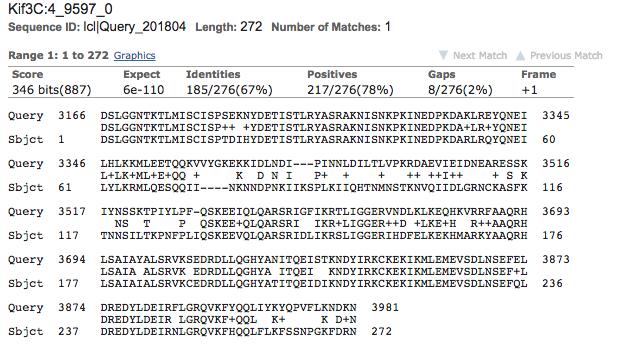 Figure 7 BLASTX alignment of Exon 4. Exon 4 amino acid sequence as the subject and Contig52 DNA sequence as query with complete coverage.