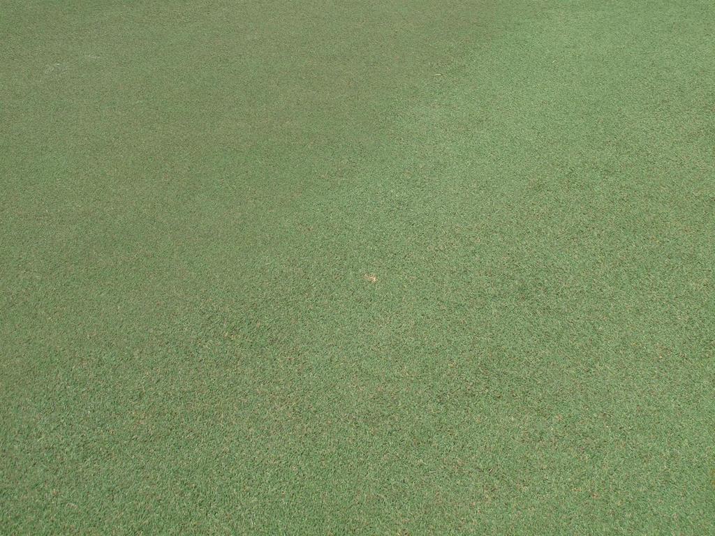 B E N E F I T S O F U S I N G C O M A N D More even turf density and color, green-up without excessive top growth Complimentary to other management programs, provides for more efficient utilization