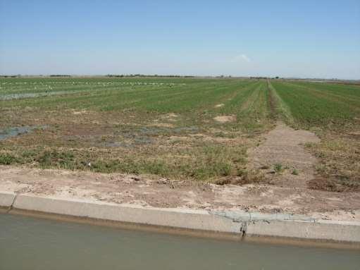 Surface Irrigation Acreage has Greatly Reduced Yes, it is possible to have efficient surface irrigation if the