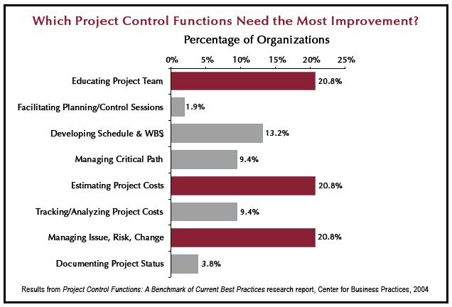PM Solutions White Paper Series The Truth in Numbers How Well Does Your Organization Perform Project Control Functions?