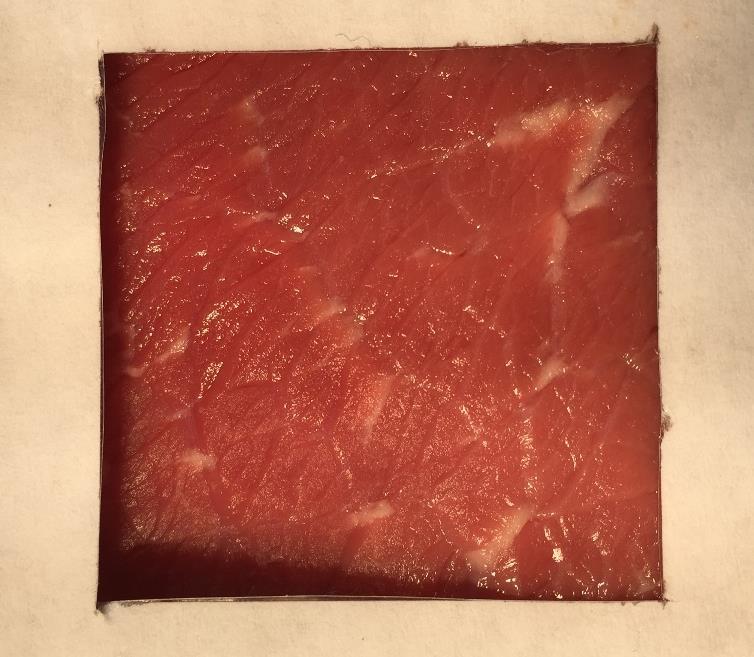 Image 4 shows the color and texture of a 1200 ppm treated meat strip Conclusions The untreated control meat samples contained an average E. coli log 10 of 6.60 CFU/mL.