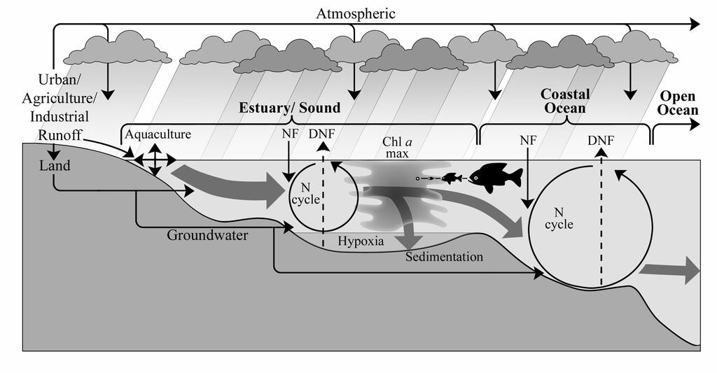Atmospheric N inputs can bypass the