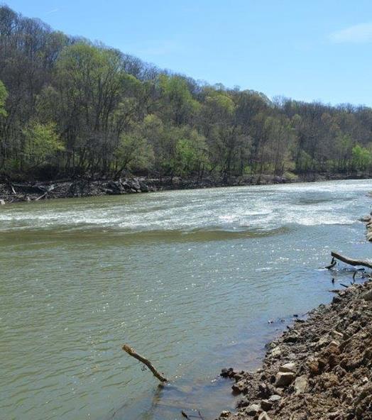 Green River National Wildlife Refuge Long-proposed wildlife refuge along the Ohio River in Henderson Halted for years by lack of funds for land acquisition