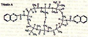 Fig. Chemical structure of triostatin A The space filled side view indicates how the two quinoxaline rings are positioned by the linker peptide in co planar fashion suitable for intercalating with