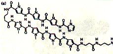 This small synthetic molecule has an binding constant in the order of 0.03nM.