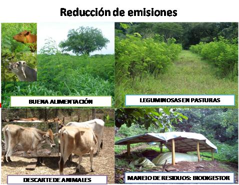 National Appropriate Mitigation Action (NAMA) Livestock in Costa Rica