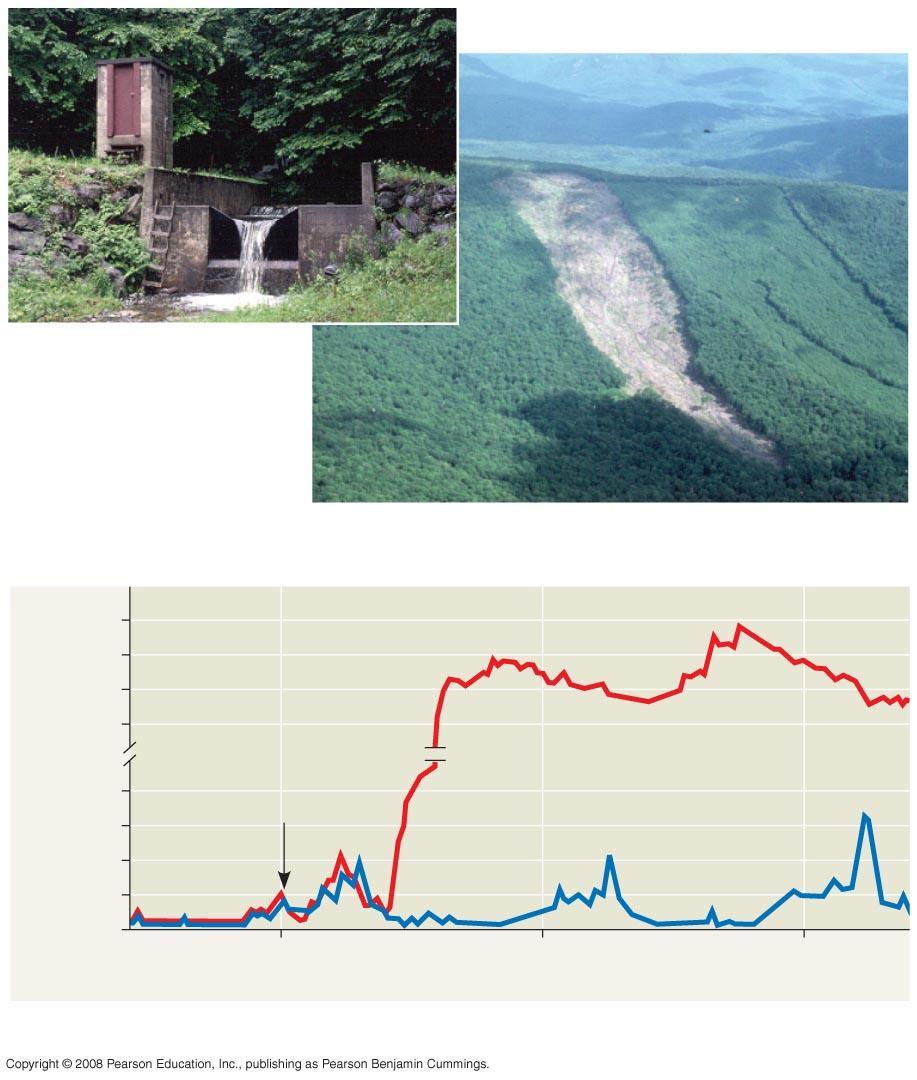 Fig. 55-16 Nitrate concentration in runoff (mg/l) (a) Concrete dam and weir Nutrient cycling in the Hubbard Brook Experimental Forest: an example of long-term