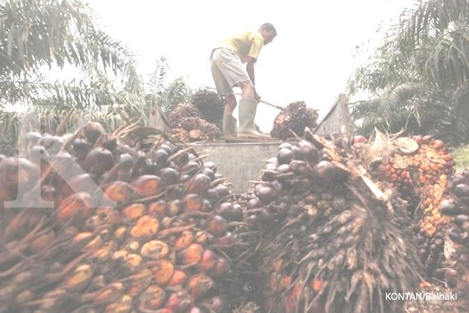 The Palm Oil Biorefinery PALM OIL FRESH FRUIT BUNCH PALM OIL FRUIT EMPTY FRUIT BUNCH SLUDGE PALM OIL FRUIT PALM OIL SEED KERNEL SHELL MESOCARP FIBER CRUDE PALM OIL FLASH KERNEL CAROTENE TOCOPHEROL