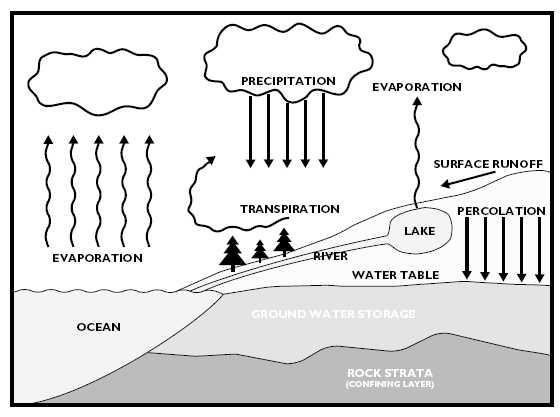 The Hydrologic Cycle illustrates the process