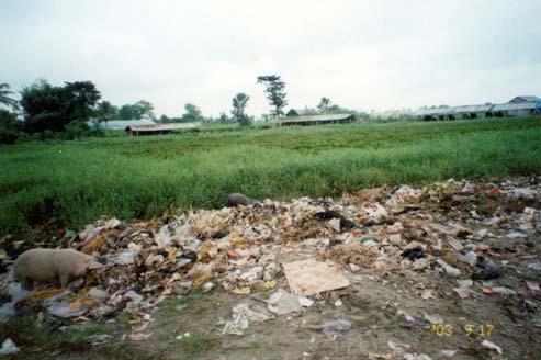 Site Solid Waste