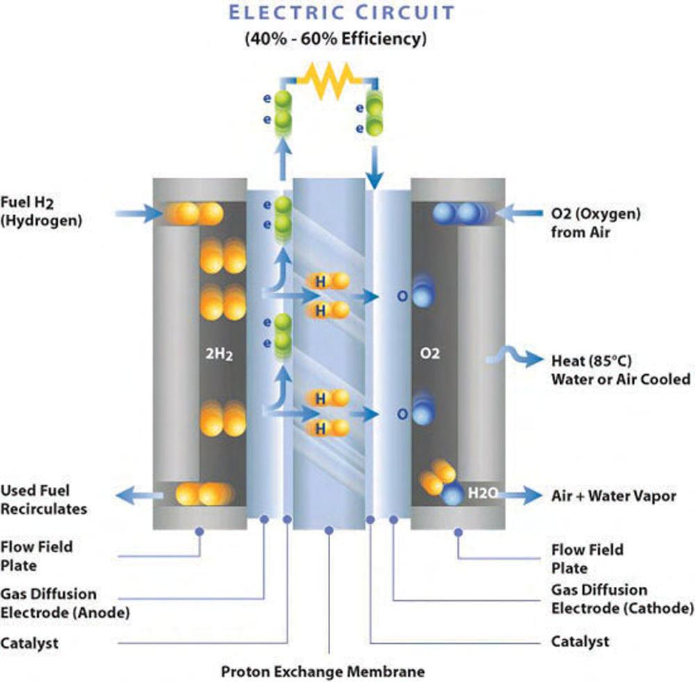 Fuel Cell PEM Schematic Cedric