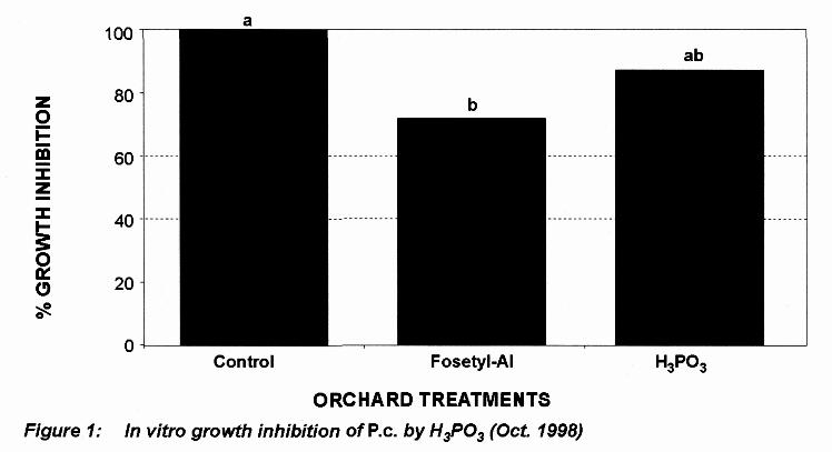 In the initial tests done in South Africa (1992 and 1993), five isolates each of Aliette treated, H 3 PO 3 treated, or untreated trees were tested (Duvenhage, 1994), while in subsequent tests the