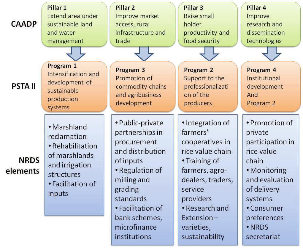 Alignment of key elements of NRDS with Comprehensive African Agricultural Development Program (CAADP) and Rwanda s Program for Sustainable Transformation through Agriculture (PSTA II): Coherence of