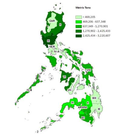 Structure of the Philippine Rice Industry 5% of rice production is in Luzon.