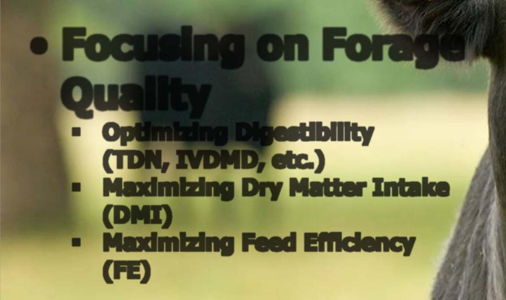 Looking Ahead Focusing on Forage Quality Optimizing Digestibility (TDN, IVDMD, etc.