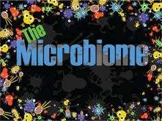 aggregate of microorganisms that resides