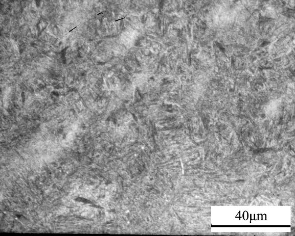 The microstructure of the 4340 steel was observed by using light microscope (LM) and transmission electron microscope (TEM).