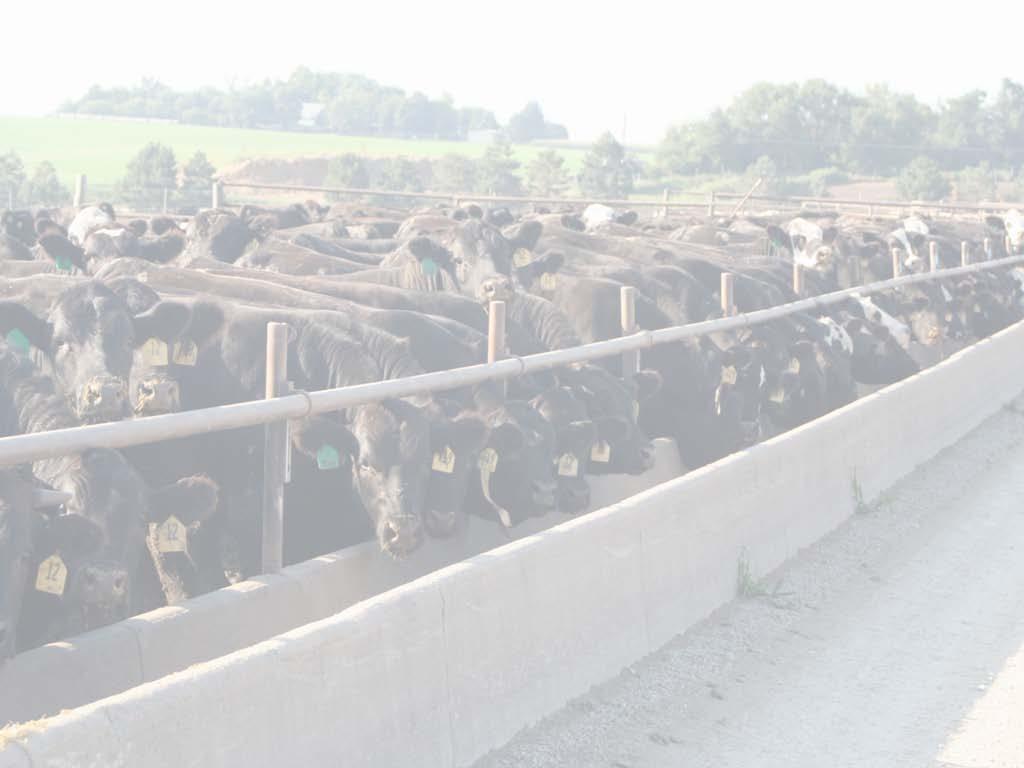 Cattle/Beef Lower cattle inventories Decreases in production commence in 2012 Cattle supply to support prices, high calf and feeder cattle prices