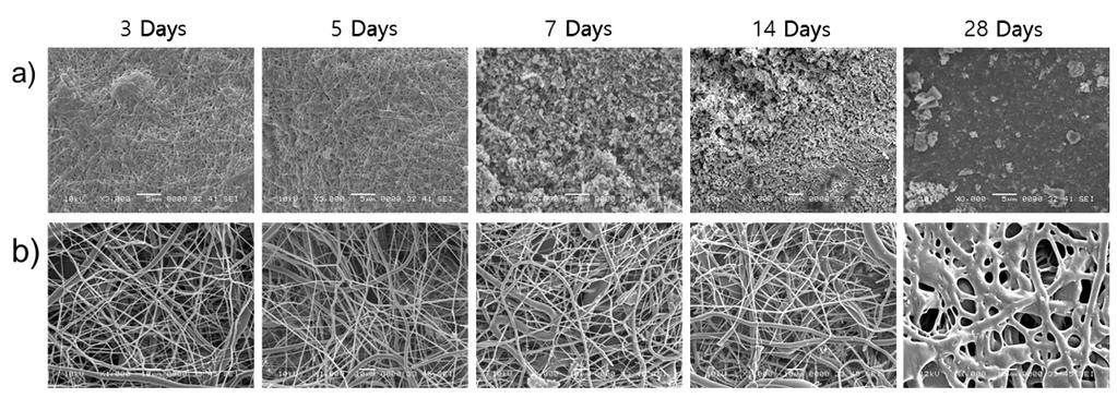 Oh Hyeong Kwon, Donghwan Cho and Won Ho Park application of chitosan/pvp and PLGA/PVP nanofibrous sheets could be utilized on tissue engineering field. Fig. 2.