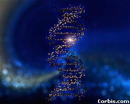 BIOTECHNOLOGY RECOMBINANT DNA TECHNOLOGY Recombinant DNA technology involves sticking