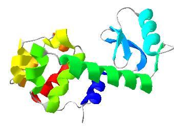 Can we predict protein structures?