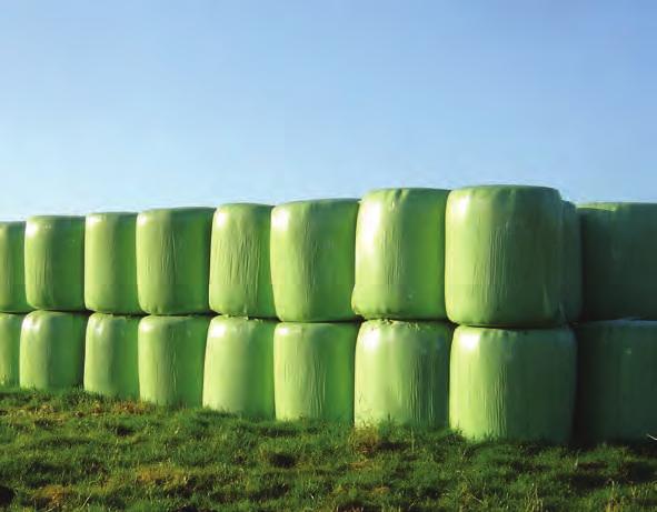 WRAPEX Stretch film WRAPEX Stretch film is defined by its highest quality standards and enables the production of high quality silage.