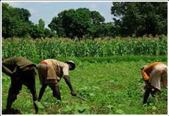 Burkina Faso Climate Agriculture Farming systems Burkina Faso is located in the semi-arid tropical zone in West Africa.