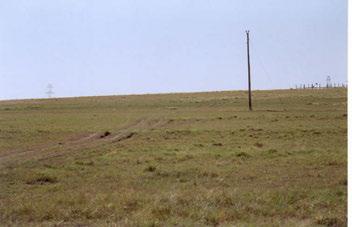 prairie Improved pasture grazed