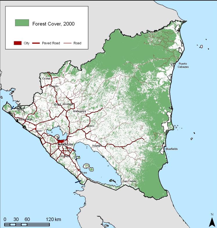 creation of forest agency 1976: Law on Rational Forest Use regulation of forest extractions