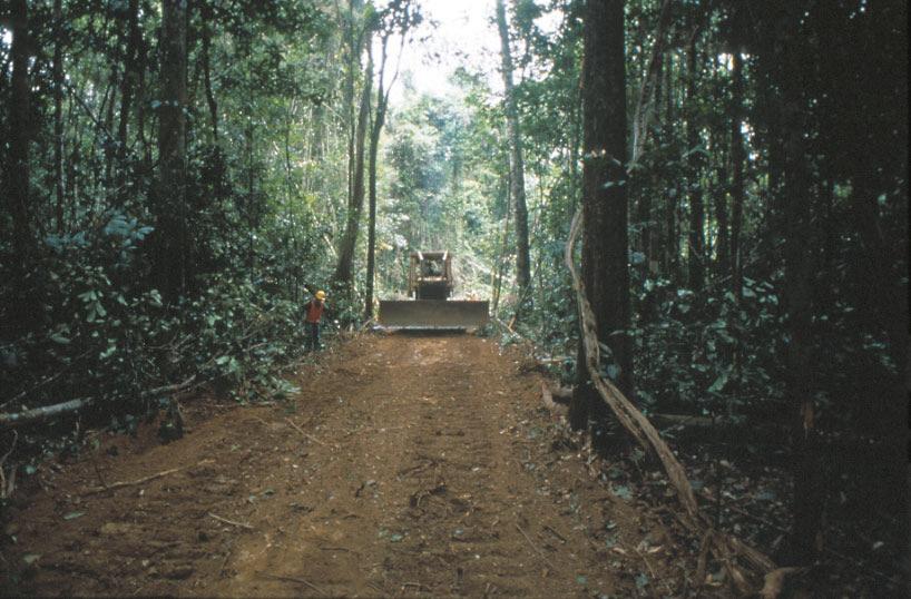 Sustainable Forest Management in Costa Rica, Guatemala, & Nicaragua Range of management practices illegal to certified Costa Rica: in general, authorized harvest meets govt standards; clandestine