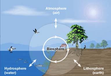 What is the Biosphere?