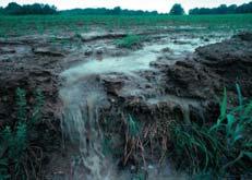 Run off Precipitation falls on the land, flows overland (runoff), and runs into rivers, which