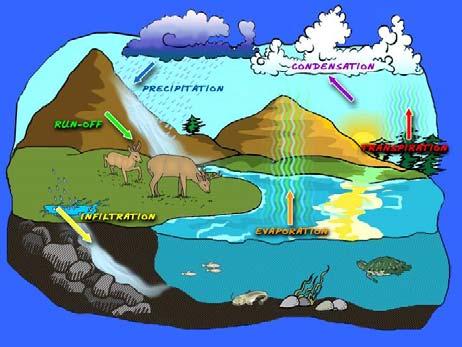 on or near the earth portion of the lithosphere made up of dry ground. H 2 O movement of energy from once source to another.