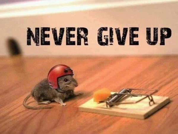 Don t Give Up!