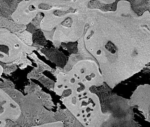 35 Secondary electron imaging micrograph of 60