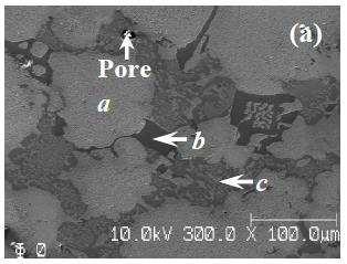 Figure 2.17 Microstructure of 60:40 wt.% additive powder and filler metal powder. a is the additive powder, b is (Cr, W) B, and c is the binary eutectic.