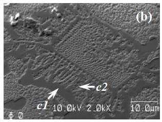and, c2, -nickel. Figure 2.18 Image of crack propagation through brittle phases: Ni3B
