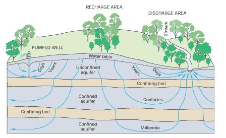 Recharge and Discharge Where the water table crosses the land surface, there is