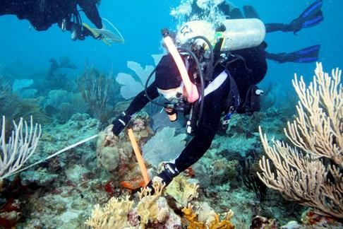Coral Reef Ecosystems Ecological foundation for diverse
