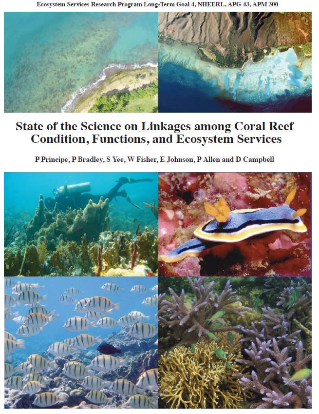 3. Connecting Reef Condition to Ecosystem Services Literature Review What services have been identified? How were services measured?