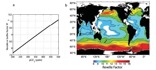 The Revelle factor: Ocean CO 2 uptake High Revelle factor means a low ability to take up atmospheric CO 2 As