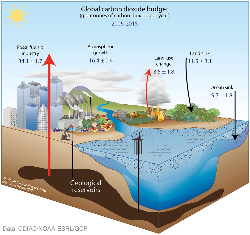 Anthropogenic perturba2on of the global carbon cycle Perturba+on of the global carbon cycle caused by anthropogenic ac+vi+es, averaged globally for the decade 2006 2015 (GtCO 2