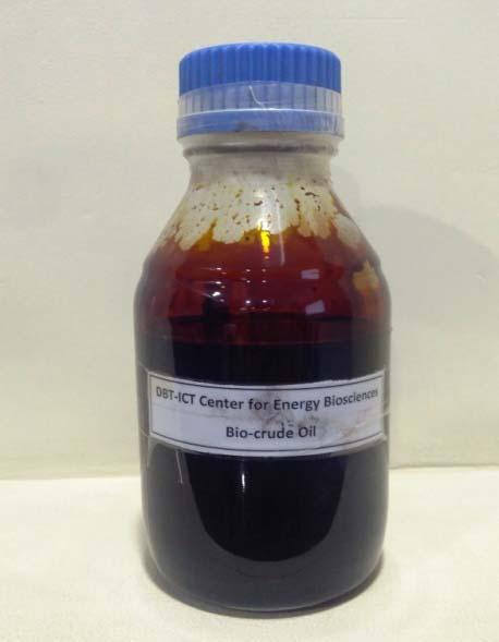 DBT-ICT CTL-Technology Catalytic Thermo-Liquefaction (CTL) Wet/Dry Biomass CTL Catalytic Liquefaction 150 C, 15 Bar Pressure